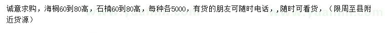 求購高60-80公分海桐、石楠