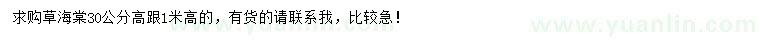 求購高0.3、1米草海棠