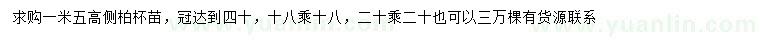 求購(gòu)高1.5米側(cè)柏