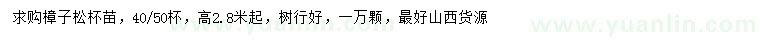 求購高2.8米起樟子松