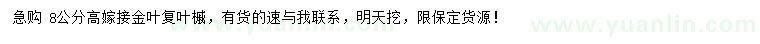 求購(gòu)8公分高接金葉復(fù)葉槭