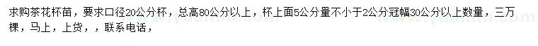 求購高80公分以上茶花