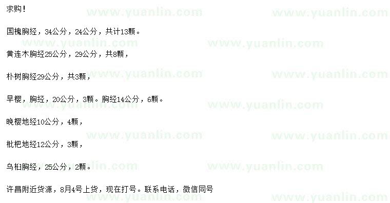 求購國槐、黃連木、樸樹等