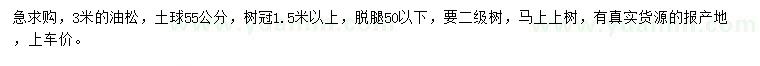 求購3米油松