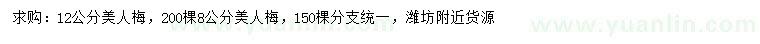 求購8、12公分美人梅