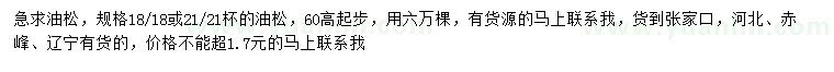 求購(gòu)高60公分以上油松