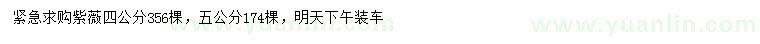 求購4、5公分紫薇