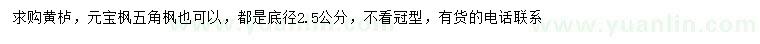 求購黃櫨、元寶楓、五角楓