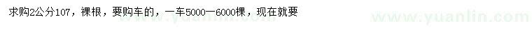 求購2公分107速生楊