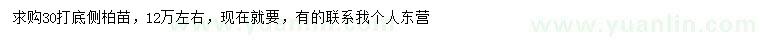 求購30公分打底側柏苗