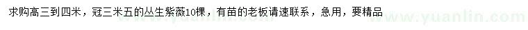求購高3-4米叢生紫薇