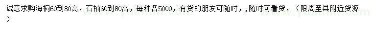求購高60-80公分海桐