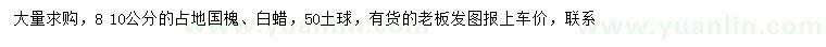 求購8-10公分占地國槐、白蠟