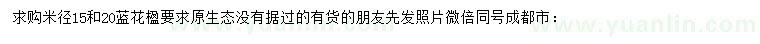 求購米徑15、20公分藍(lán)花楹