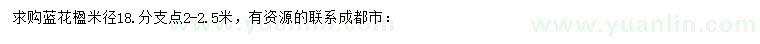 求購米徑18.公分藍(lán)花楹