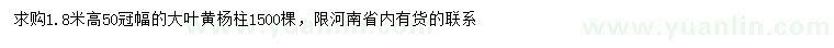 求購高1.8米大葉黃楊柱