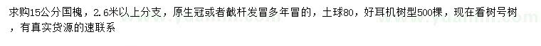 求購15公分國槐