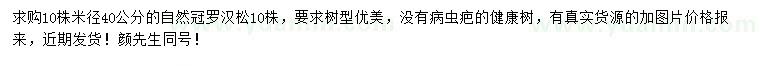 求購米徑40公分羅漢松