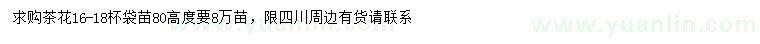 求購高80公分茶花