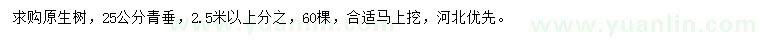 求購25公分青垂