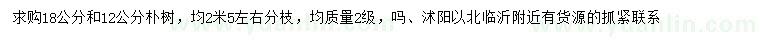 求購18、12公分樸樹(shù)