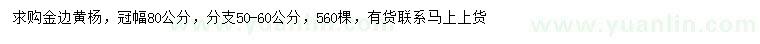 求購冠幅80公分金邊黃楊
