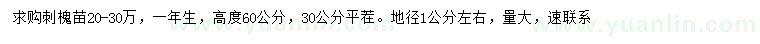 求購地徑1公分左右刺槐苗