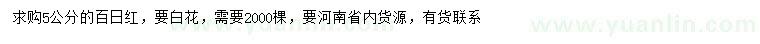 求購5公分百日紅