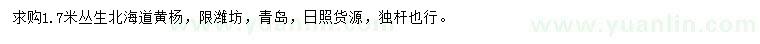 求購1.7米叢生北海道黃楊