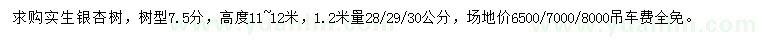 求購1.2米量28、29、30公分銀杏