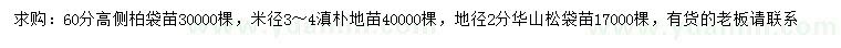 求購(gòu)側(cè)柏、滇樸、華山松