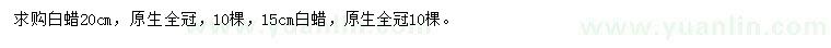 求購15、20公分白蠟