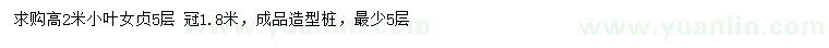 求購高2米小葉女貞