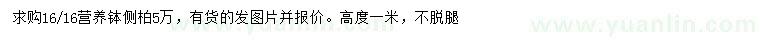 求購高1米側(cè)柏