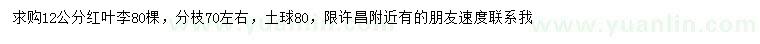 求購(gòu)12公分紅葉李