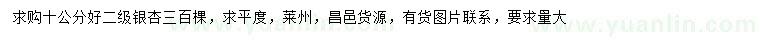 求購10公分銀杏