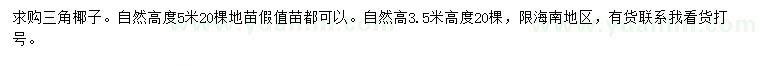 求購高3.5、5米三角椰子