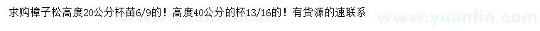 求購(gòu)高20、40公分樟子松