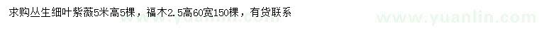 求購高5米叢生細(xì)葉紫薇、2.5米福木