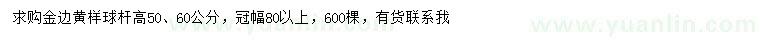 求購桿高50、60公分金邊黃楊球