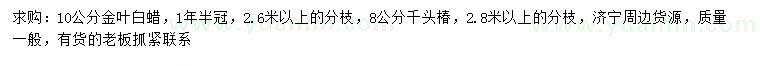 求購(gòu)10公分金葉白蠟、8公分千頭椿