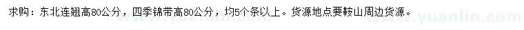 求購(gòu)高80公分東北連翹、四季錦帶