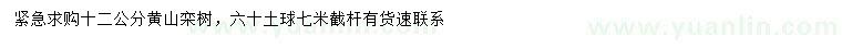 求購12公分黃山欒