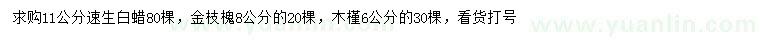 求購(gòu)速生白蠟、金枝槐、木槿