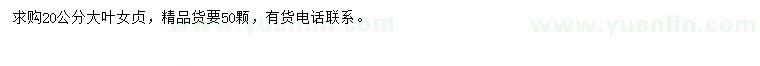 求購20公分大葉女貞