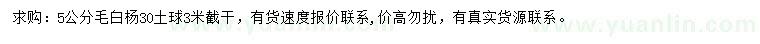 求購5公分毛白楊