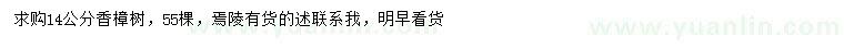 求購14公分香樟