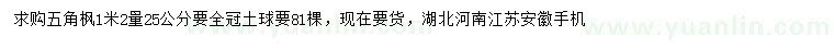 求購1.2米量25公分五角楓