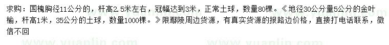 求購胸徑11公分國槐、地徑30公分量5公分金葉榆