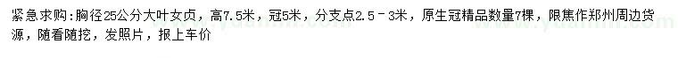 求購胸徑25公分大葉女貞